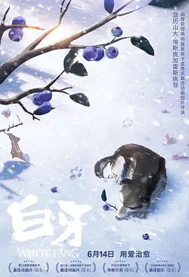 精品久久久久久无